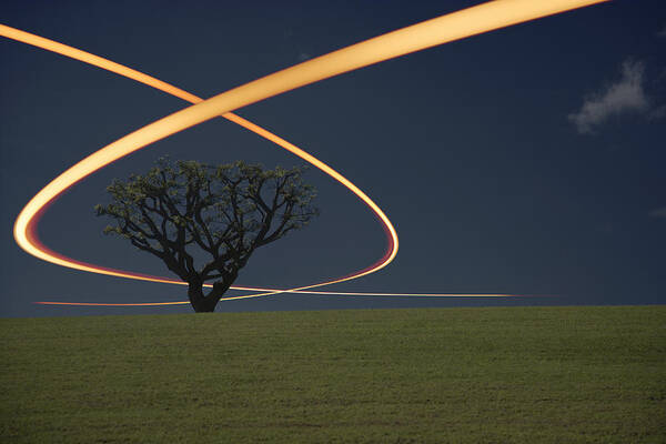 Scenics Poster featuring the photograph Light Trails Around Tree by Paul Taylor