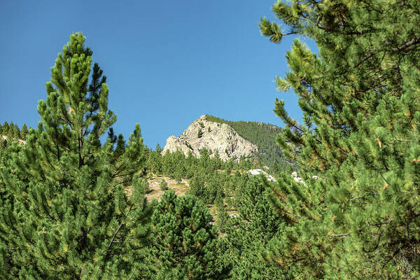 Mountain Poster featuring the photograph Little Rocky Mountain by Todd Klassy