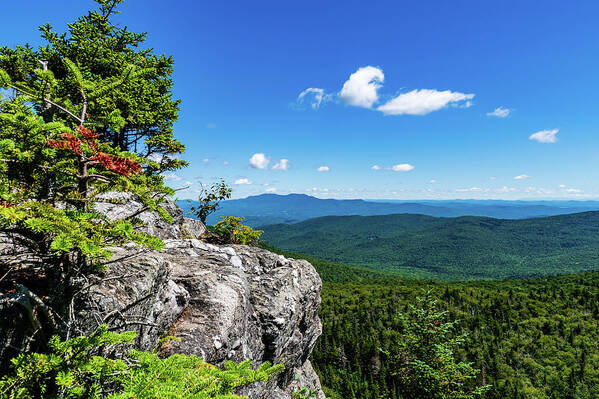 Landscape Poster featuring the photograph Long Trail View - Vermont by Chad Dikun