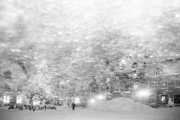 Winter Poster featuring the photograph Lost In The Snow by Michiko tomo