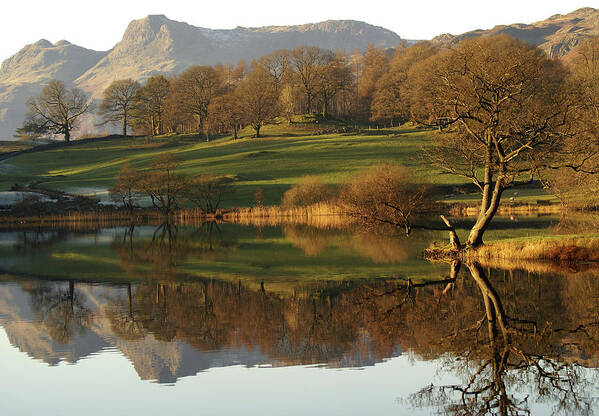 Scenics Poster featuring the photograph Loughrigg Tarn by Terry Roberts Photography