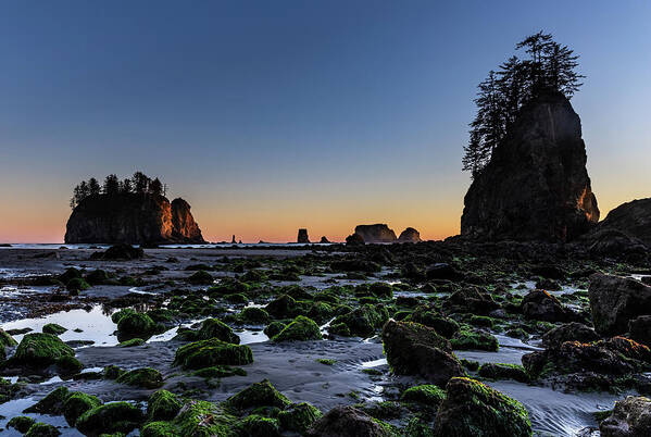 Sunset Poster featuring the photograph Low Tide by Ed Clark