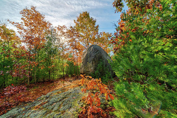 Lynn Poster featuring the photograph Lynn Woods Dungeon Rock Fall Foliage Lynn Massachusetts by Toby McGuire