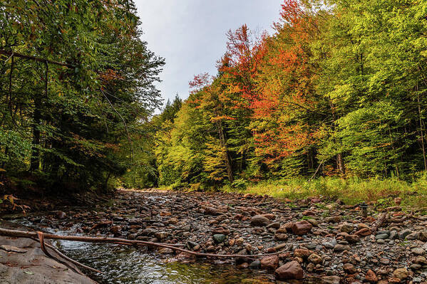 Landscape Poster featuring the photograph Mad River Autumn Colors by Chad Dikun