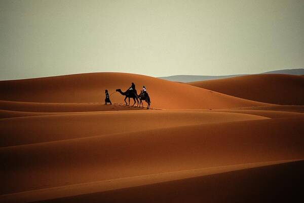 Africa Poster featuring the photograph Majestic Sahara by Robert Grac