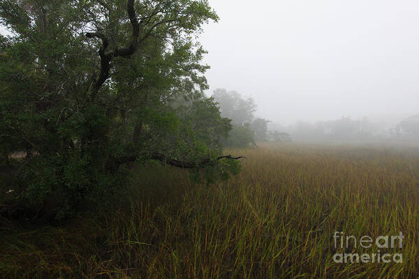 Fog Poster featuring the photograph Marsh Fog - Rivertowne on the Wando by Dale Powell