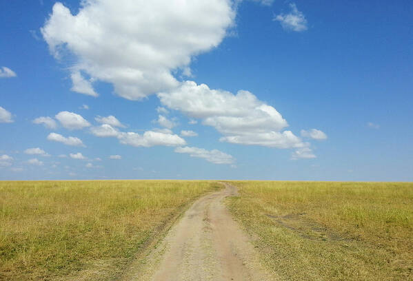 Tranquility Poster featuring the photograph Masai Mara Dirty Road by Universal Stopping Point Photography