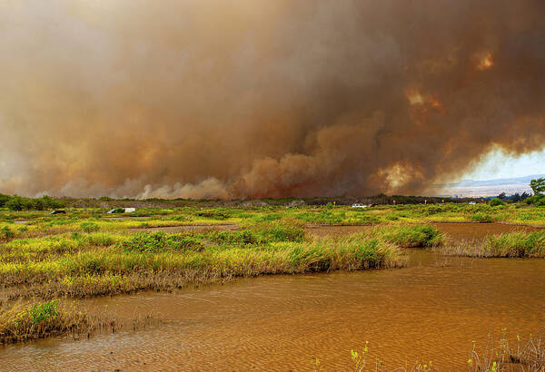 Pond Poster featuring the photograph Maui Fire by Anthony Jones