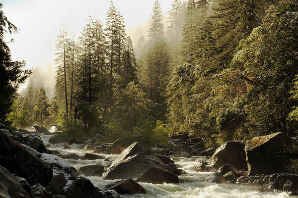 Scenics Poster featuring the photograph Merced River At Yosemite National Park by Arturbo