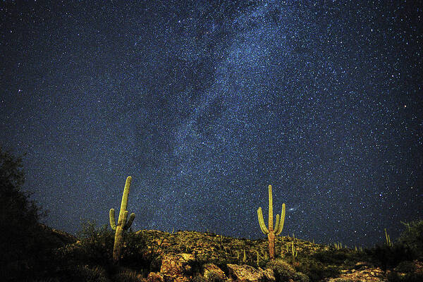 Tucson Poster featuring the photograph Milky Way and Cactus by Chance Kafka