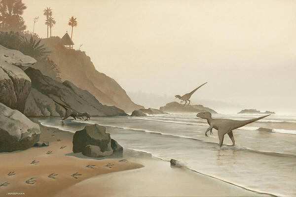 Velociraptor Poster featuring the painting Misty Morning Rockpile Beach by Cliff Wassmann