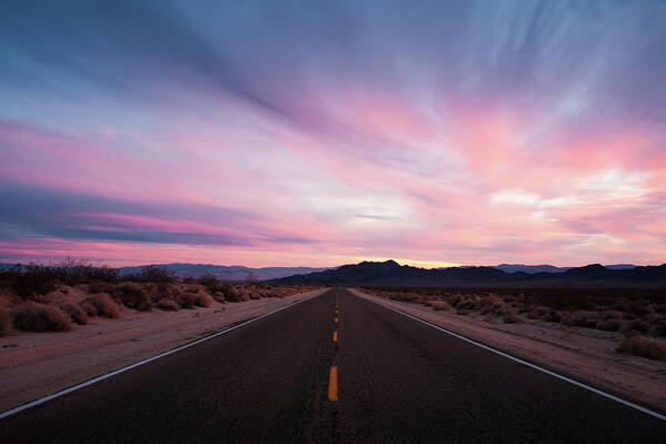 Grass Poster featuring the photograph Mojave Desert Sunset On Lonely, Wide by Eric Lowenbach