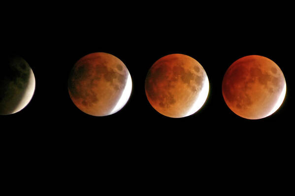 Outdoors Poster featuring the photograph Moon Eclipse by David Neil Madden