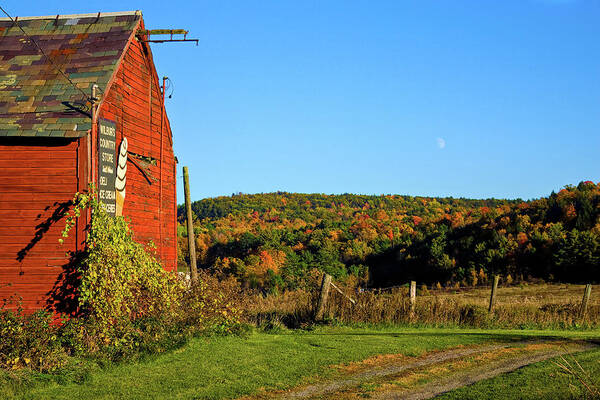 Vermont Red Barn Poster featuring the photograph Moon rise over Vermont foliage on the farm by Jeff Folger