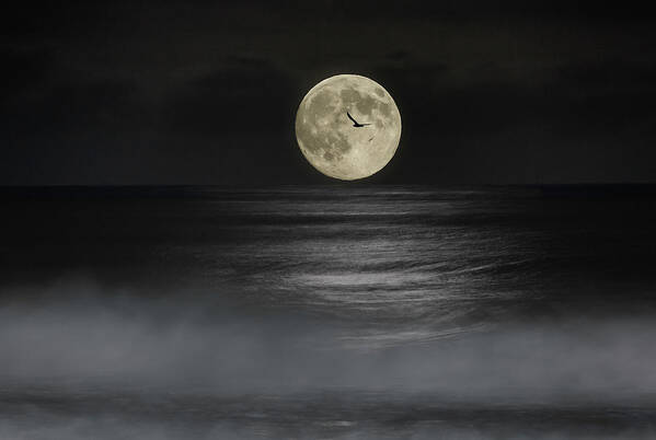 Half Moon Poster featuring the photograph Moonset by Don Hoekwater Photography