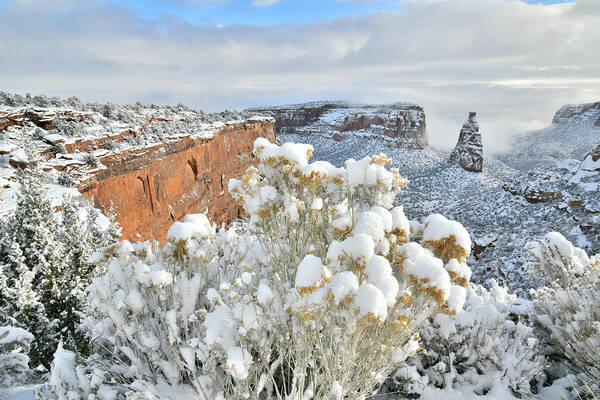 Colorado National Monument Poster featuring the photograph Morning after Snow at Colorado National Monument by Ray Mathis