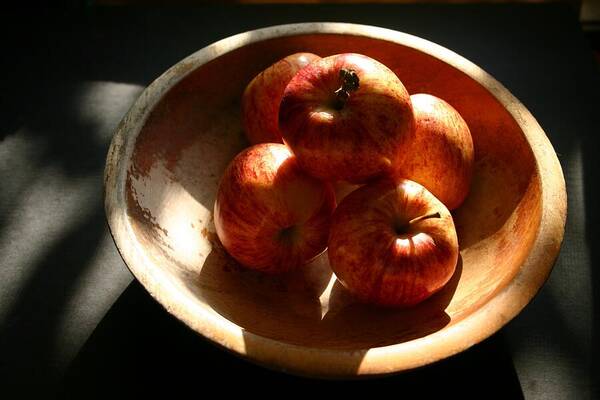 Apples Poster featuring the photograph Morning Light on Apples by Toni Hopper