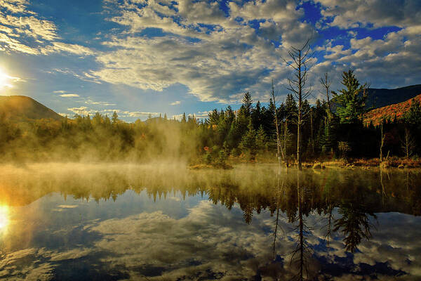 Prsri Poster featuring the photograph Morning Mist, Wildlife Pond by Jeff Sinon