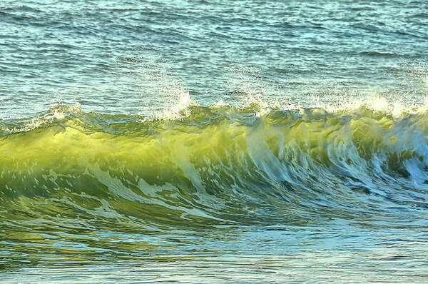 Beach Poster featuring the photograph Morning Ocean Break by JAMART Photography