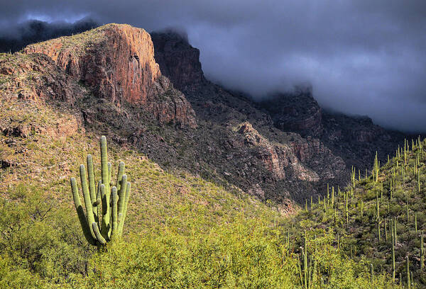 Santa Catalina Mountains Poster featuring the photograph Mount Kimball Storm by Chance Kafka