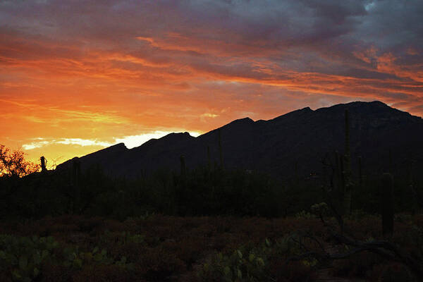 Mount Kimball Poster featuring the photograph Mount Kimball Sunset Glow, Tucson, AZ by Chance Kafka