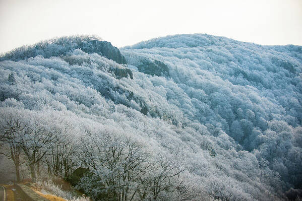 Blue Ridge Poster featuring the photograph Mountainside Hoarfrost by Mark Duehmig