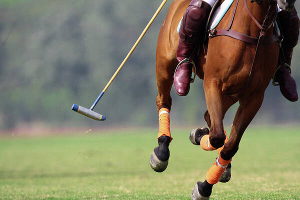 Horse Poster featuring the photograph National Polo Championship by Yasir Nisar