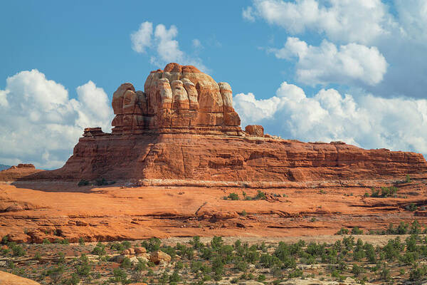 Alan Majchrowicz Poster featuring the photograph Needles District, Canyonlands National by Alan Majchrowicz