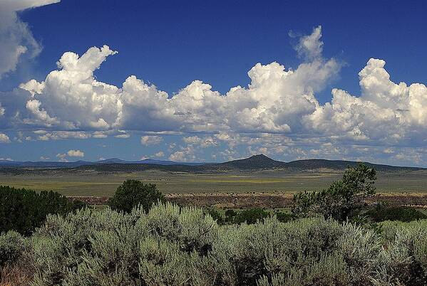 New Mexico Poster featuring the photograph New Mexico Vista by Glory Ann Penington