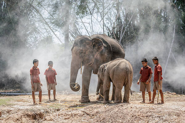 Elephant Poster featuring the photograph No.72 by Adirek M