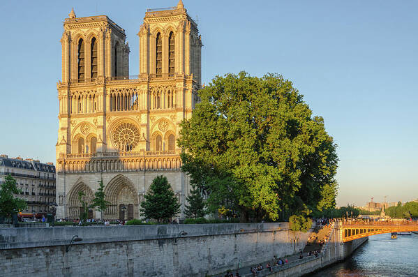 Golden Hour Poster featuring the photograph Notre Dame in Spring Evening Light by Douglas Wielfaert