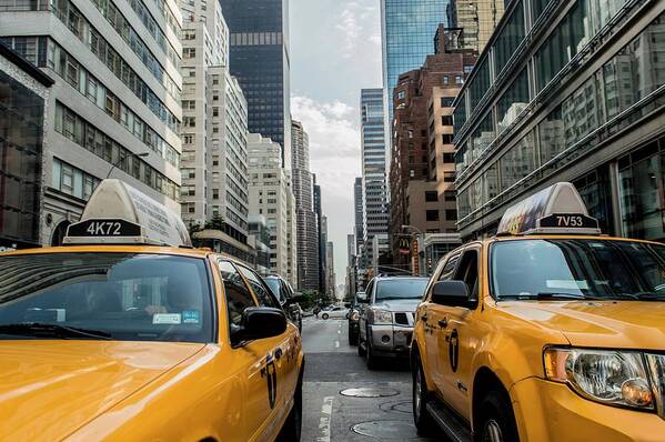 Photo Poster featuring the photograph NY taxis by Top Wallpapers