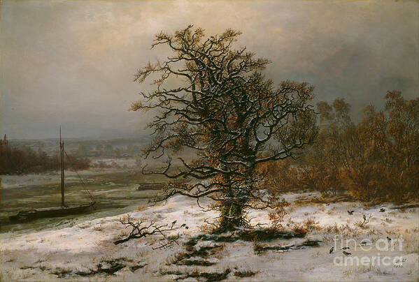 Oil Painting Poster featuring the drawing Oak Tree By The Elbe In Winter. Artist by Heritage Images