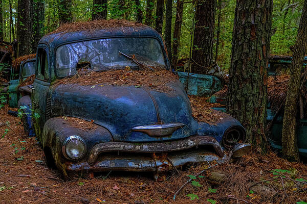 Abandoned Poster featuring the photograph Old Blue Chevy by Darryl Brooks