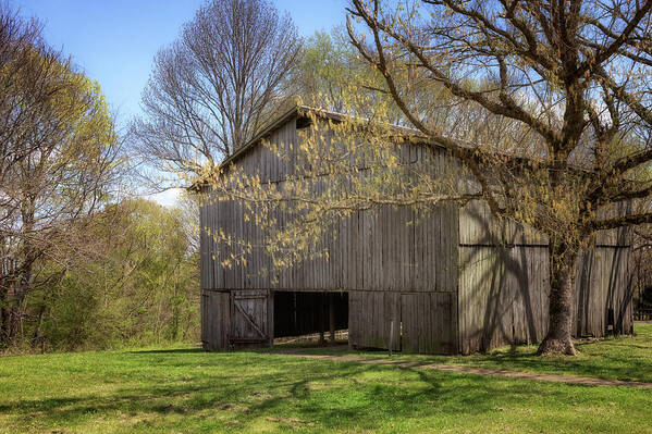 Barn Poster featuring the photograph Old Tobacco Barn by Susan Rissi Tregoning
