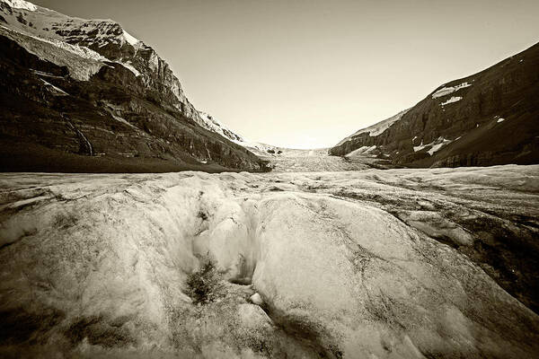 Banff Poster featuring the photograph On Athabasca Glacier at Glacier National Park Columbia-Shuswap A, BC, Canada Icy Sepia by Toby McGuire