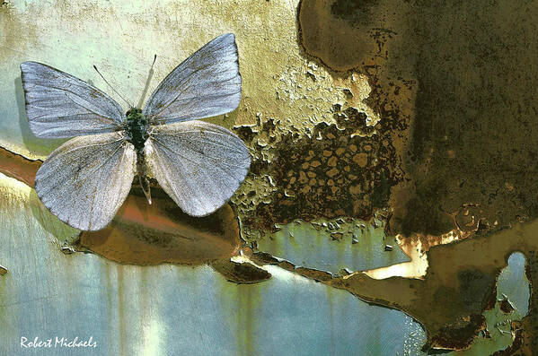 Butterfly Poster featuring the photograph Organic Butterfly by Robert Michaels