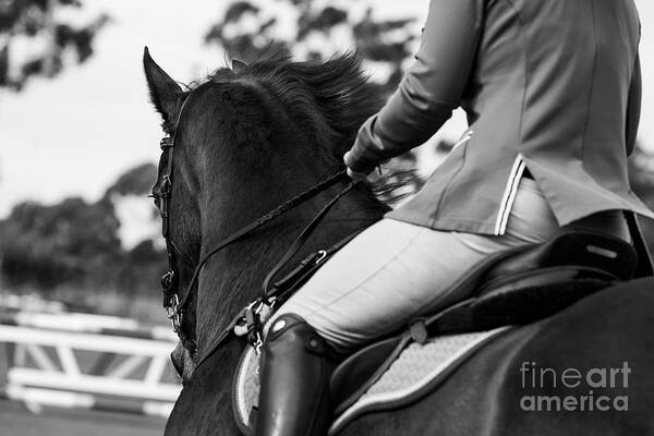 Horse Poster featuring the photograph Outside Rein by Michelle Wrighton