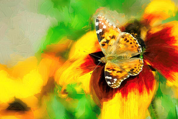 Cosmopolitan Poster featuring the photograph Painted Lady Butterfly Impasto by Don Northup