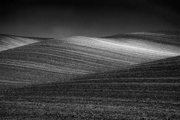 Palouse Poster featuring the photograph Palouse Soil II by Jon Glaser