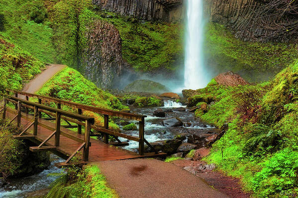 Columbia River Gorge Poster featuring the photograph Path at base of Lautrolla Falls by Dee Browning