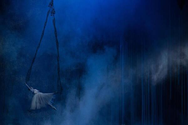 Ballet Poster featuring the photograph Pendulum by Peet Van Den Berg