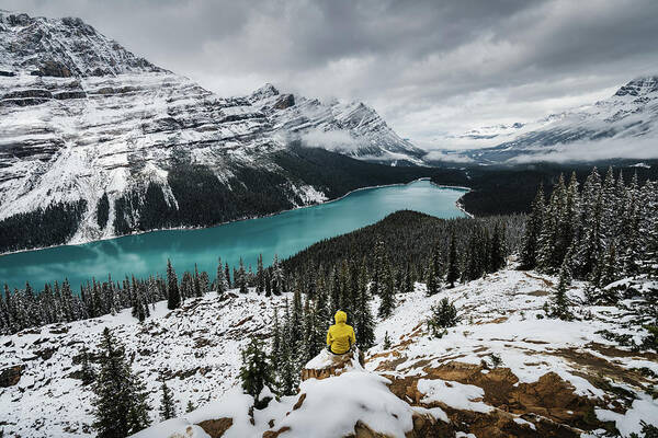 2018 Poster featuring the photograph Peyto Lake in Canada by Kamran Ali