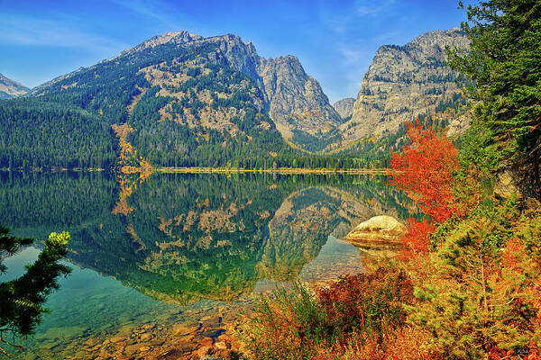 Grand Teton National Park Poster featuring the photograph Phelps Lake by Greg Norrell