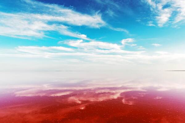 Landscape Poster featuring the photograph Pink Lake Water Under Blue Sky by Ivan Kmit