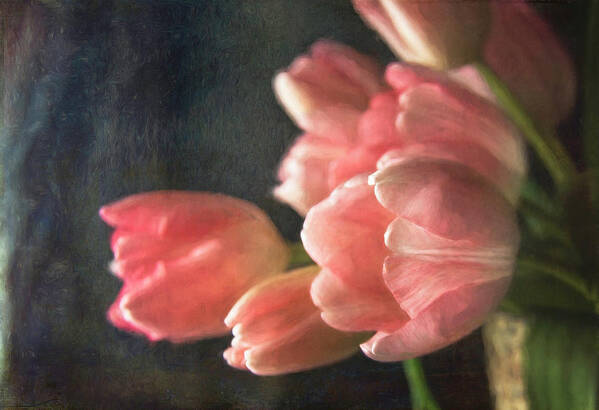 Tulips Poster featuring the photograph Pink Tulip Bouquet by Cindi Ressler