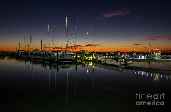 Marina Poster featuring the photograph Pre-Dawn Marina by Tom Claud