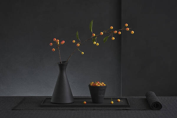 Ikebana Poster featuring the photograph Prunus Avium N2 by Christophe Verot