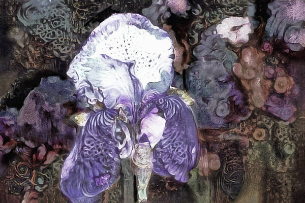 Purple Bearded Iris Poster featuring the mixed media Purple Bearded Iris by Susan Maxwell Schmidt