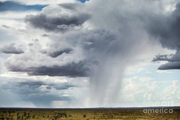 Australia Poster featuring the photograph Rain Clouds In Distance by Paul Williams/science Photo Library